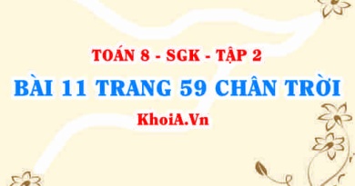 Bài 11 trang 59 Toán 8 Chân trời sáng tạo Tập 2